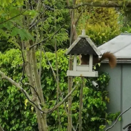 Casa vacanze Zzferienhaus Muehlchen 25585 *