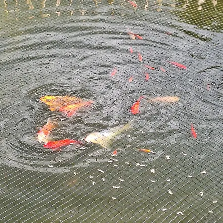 Casa vacanze Zzferienhaus Muehlchen 25585 Weener