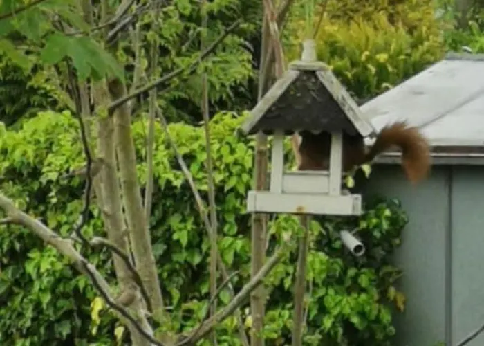 Дом отдыха Zzferienhaus Muehlchen 25585 *