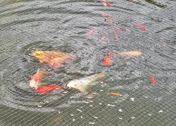 Дом отдыха Zzferienhaus Muehlchen 25585 Weener